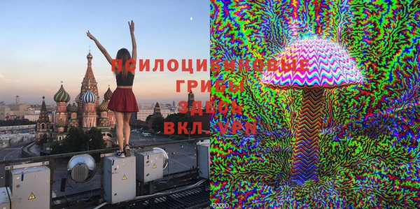 индика Алексеевка