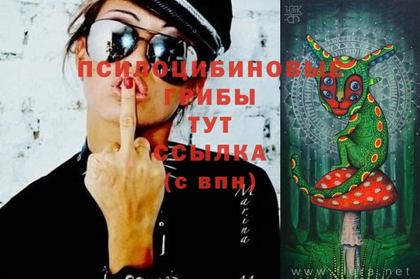 индика Алексеевка