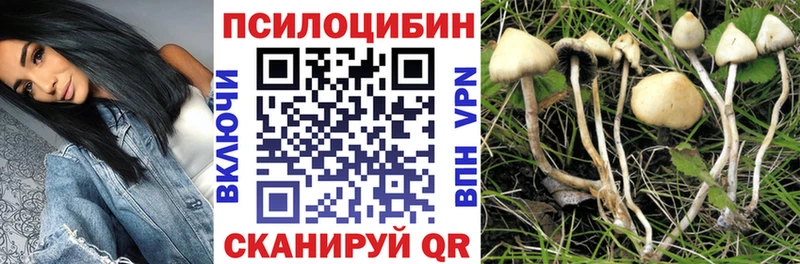Галлюциногенные грибы MAGIC MUSHROOMS  Бокситогорск 